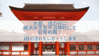 戌の日の安産祈願 お参りの準備と持ち物 服装について解説します えみにゃんまねー