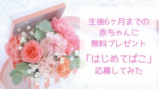 最新版 全都道府県生協 コープ はじめてばこ 中身と口コミまとめてみました えみにゃんまねー